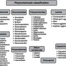 보양제약 이미지