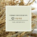 내살네쌀