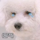 시장국밥 이미지