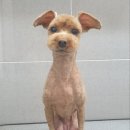 은마로동물병원 이미지