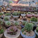 혜란농장 이미지