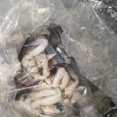 농라 대대박수산 당첨과 구매후기
