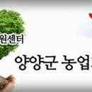 귀농1 이미지