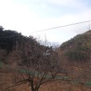 경북 청도의 해발고도높은 건강 장수마을 이미지