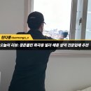 [청춘클린] 서울 강서구 화곡동 빌라 방역전문업체 해충 방역 소독 후기