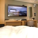 브라운 도트 이미지