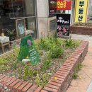 [연수역 카페 추천] 디저트 찐 맛집 티라미숲 내돈내산 후기 (ft. 화이트딸기티라미수)
