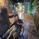 대전 아쿠아리움 이미지