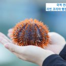 리빈 코리아 행정사사무소 이미지