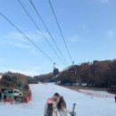 친절 | 비발티파크 렌탈샵 친절한 렌탈샵 솔직 후기 리프트권 구매