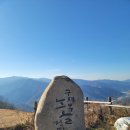 21년2월 하동 구재봉일대 산불 인공 복원지역 현재 상황 이미지