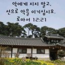 샬롬장식 이미지