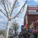 세운 | [서울/을지로]가족 나들이로 다녀온 을지로 이멜다분식 후기(세운상가 대표 맛집)