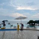 남해당구장 | 올여름 휴가의 정점, 진도 쏠비치로 떠나야만 하는 이유!