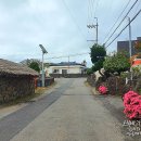 제주애월말방아-당거리동네말방아 이미지