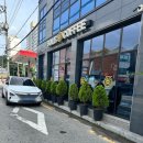 볼리스커피