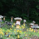 화원펜션 이미지