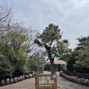 삼달2리 | 제주도 한달살기 - 8일차 / 3월 22일 화요일 / 흐림 맑음 / 일출랜드 / 목스키친 / 큰엉해안경승지