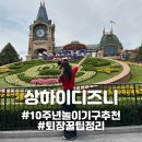 (자)제일택시 | [중국/상하이] "상하이디즈니랜드" 10주년 놀이기구 DPA추천 퇴장 택시 꿀팁 정리