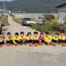 효동농장 이미지