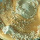 ARBOR CAKE 이미지