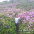 하늘빛소공원 | [축복] 2021.4.4 다녀온 부산시민공원 야경