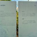 제주아일랜드모텔 이미지