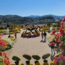 구워먹는 임실치즈 이미지