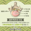 조이한의원 네이버블로그