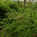 박달4리 이미지