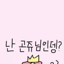 드림미용실 이미지