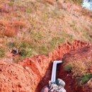 다복농장 이미지