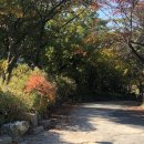 율정가든 이미지