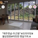 제주첫날두근