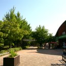 용천사 치유센터 | 선운사-전북 고창 가볼만한 곳. 호남의 내금강-선운산 도립공원