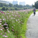 광주천우안자전거도로 이미지