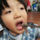 낙지사랑 이미지