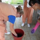 부석사관광지 이미지