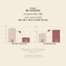 비블리 이미지