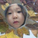 🌳솔바람 유아숲체험장 1🍂 이미지