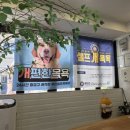 재송유치원 | 경남 양산 [올리스] 양산점 24시 무인셀프목욕 (황산공원 산책 후 코스로 추천)