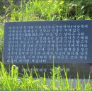부춘교 Daum카페