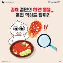 부림요양병원 | 🥬 김치 겉면의 하얀 물질, 먹어도 될까?(식약처)