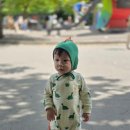양지중학교 페달로 근처 공원 양지중 건너 운동기구 | [덴마크] 13개월&amp;4살 아이와 코펜하겐 여행 (3-4일차 뉘하운 | 스트릿푸드 | 공원 | 공항]