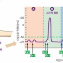 뉴런A