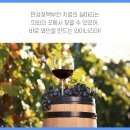 만성농장 네이버블로그