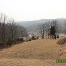 영원부원군묘 이미지