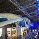 대흥사 | 해남 가족여행코스 추천, 아이와 함께한 자연사박물관,땅끝전망대,대흥사 후기