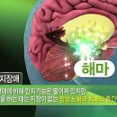 경도지질