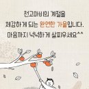 순수한인연 Daum카페